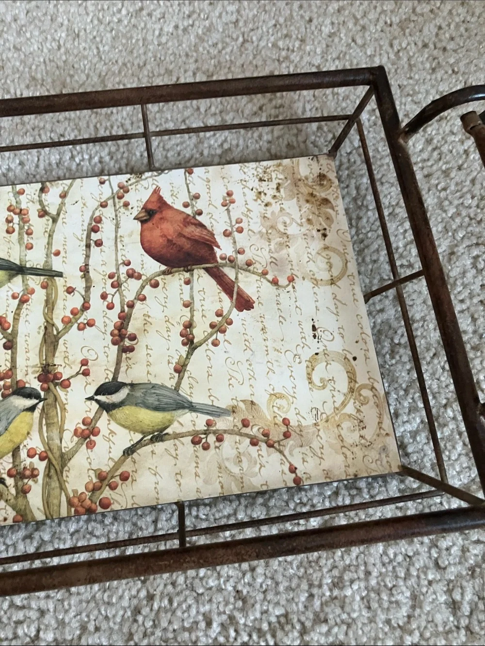 Tim Coffey Birds On Fruit Tree Tin Serving Tray Wall Decoration w/ Handles